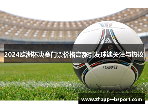 2024欧洲杯决赛门票价格高涨引发球迷关注与热议