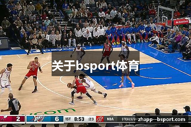 关于bsport体育